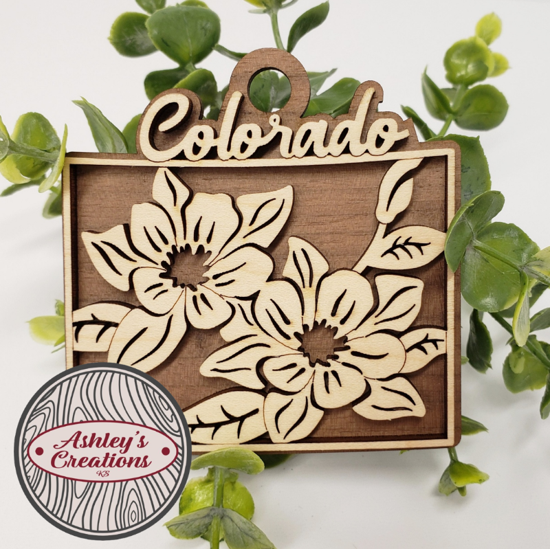 Wooden ornament with floral designs and 'Colorado' text, surrounded by green leaves.
